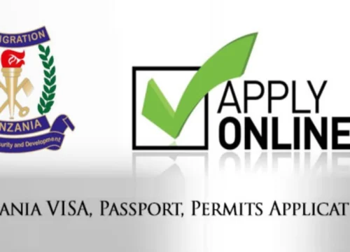 Getting a Tourist Visa for Tanzania Safari