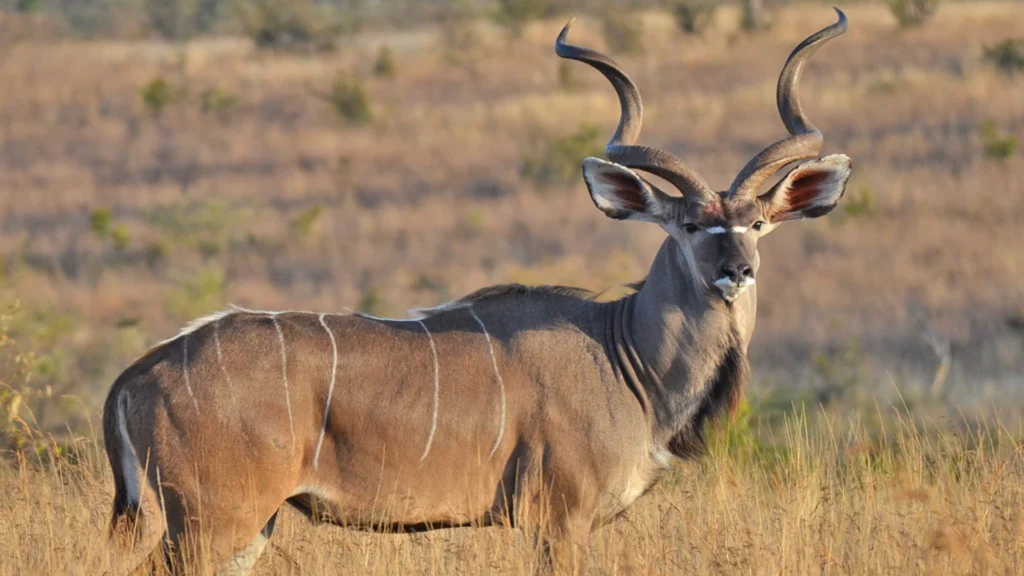 5 off the beaten track adventures & destinations