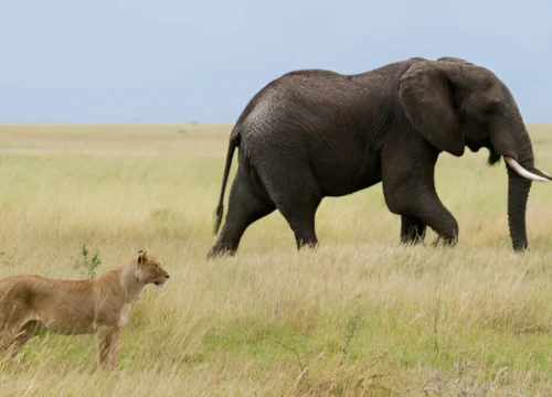 Travel the most beautiful places in the world