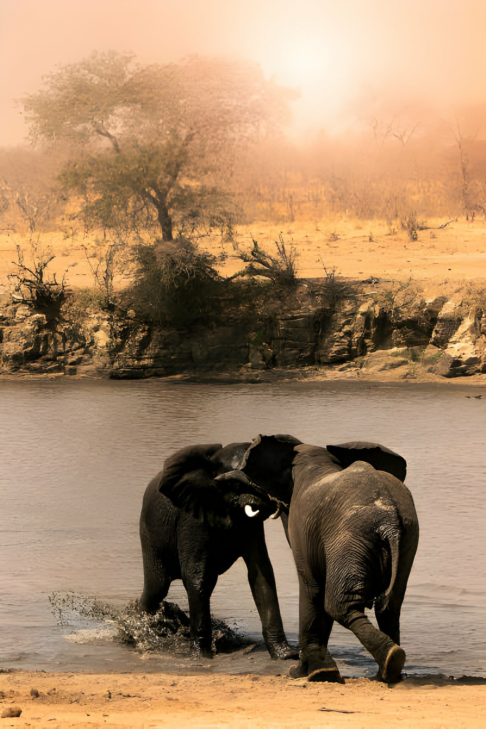 Tarangire