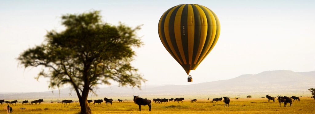 Tanzania’s Most Extraordinary Wildlife Experiences