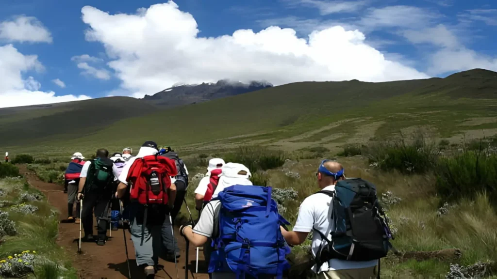 Kilimanjaro