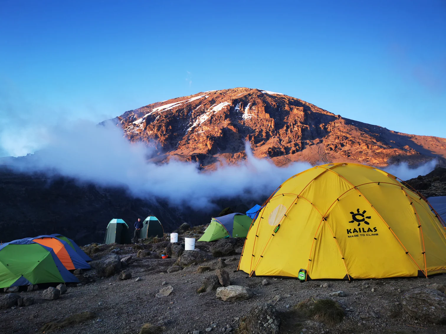 Kilimanjaro