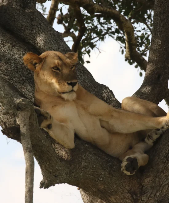 8 Days Tanzania Holiday