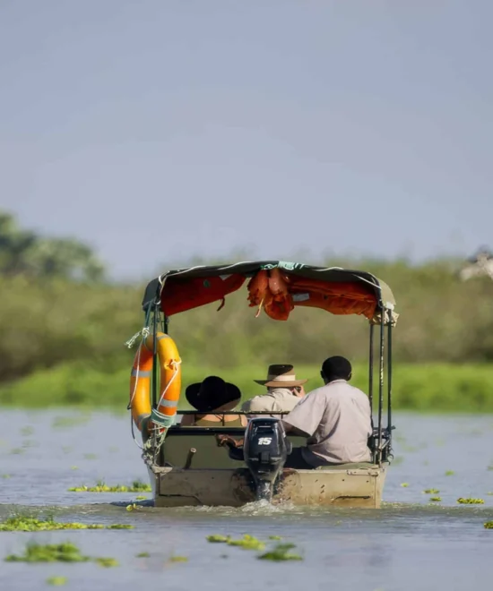 3 Days Nyerere National Park Safari Tour