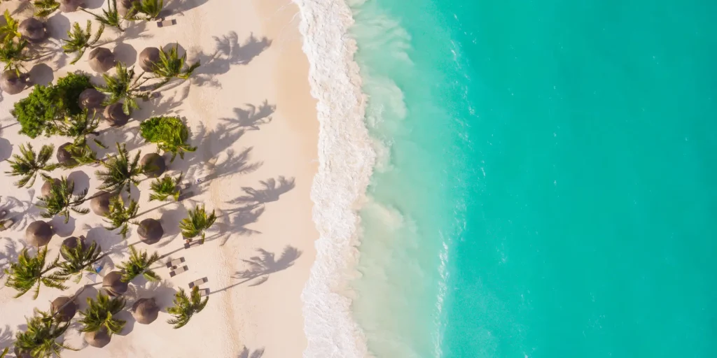 Beach drone view zuri Zanzibar tanzania safaris