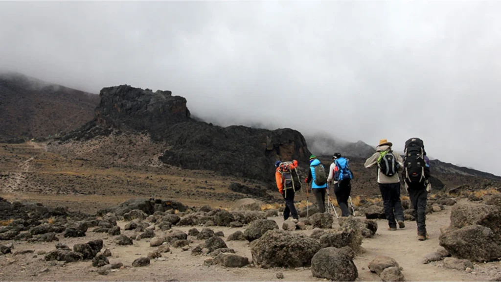 Kilimanjaro