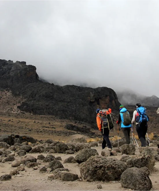 Machame Route 11 days hike
