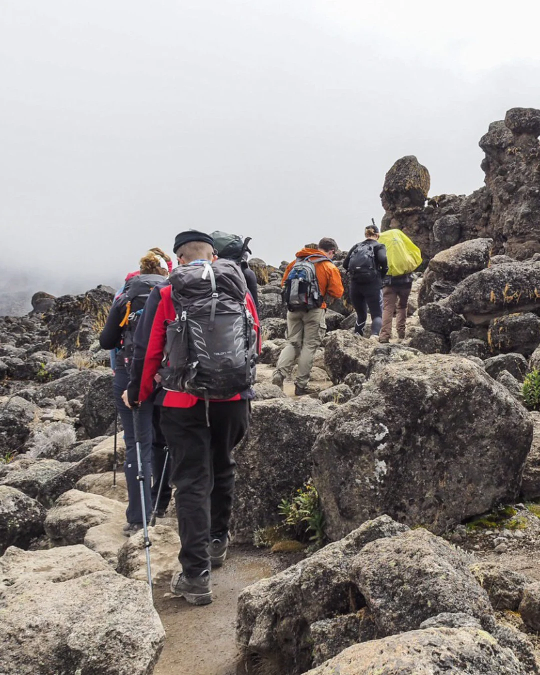 Kilimanjaro Hike