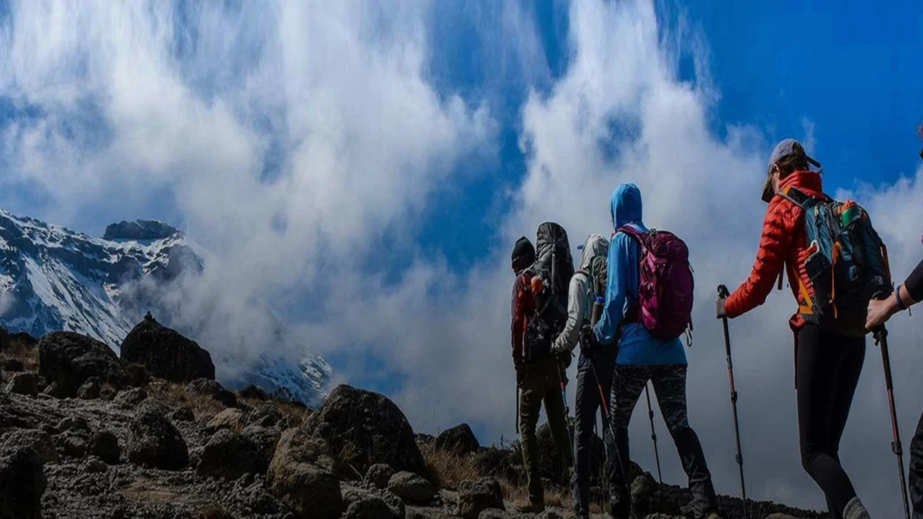 Kilimanjaro