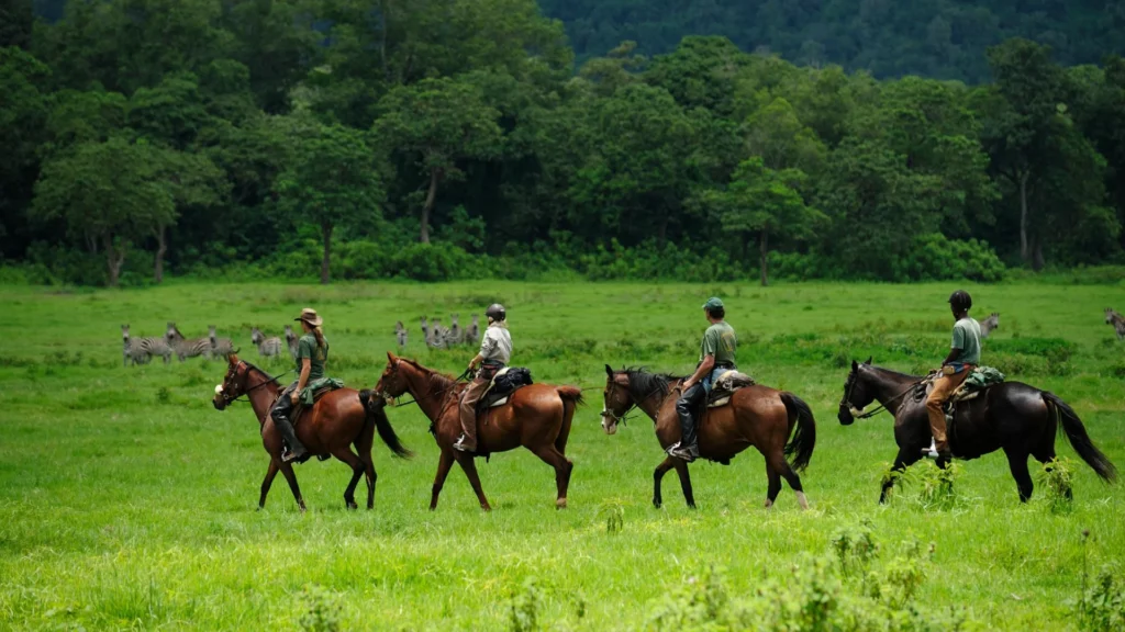 Arusha National Park, Tanzania