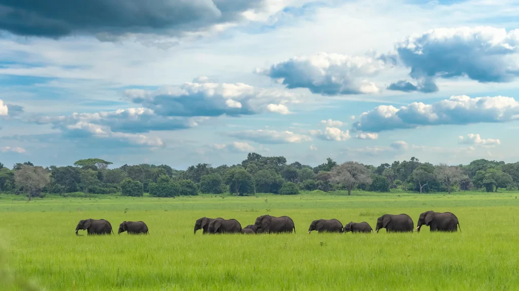 Katavi National Park, Tanzania