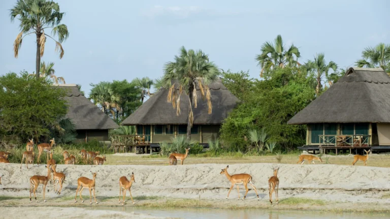 Maramboi Tented Lodge