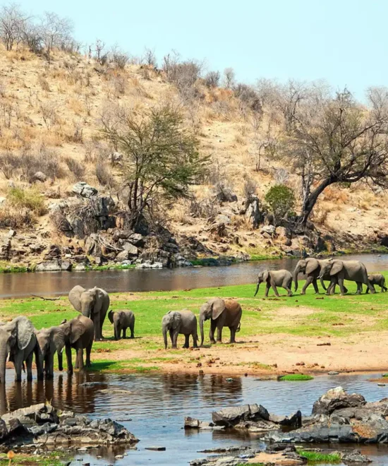 The 7-day Legacy Adventure Southern Safari Tours