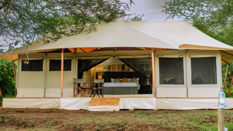 Nimali Tarangire (18)