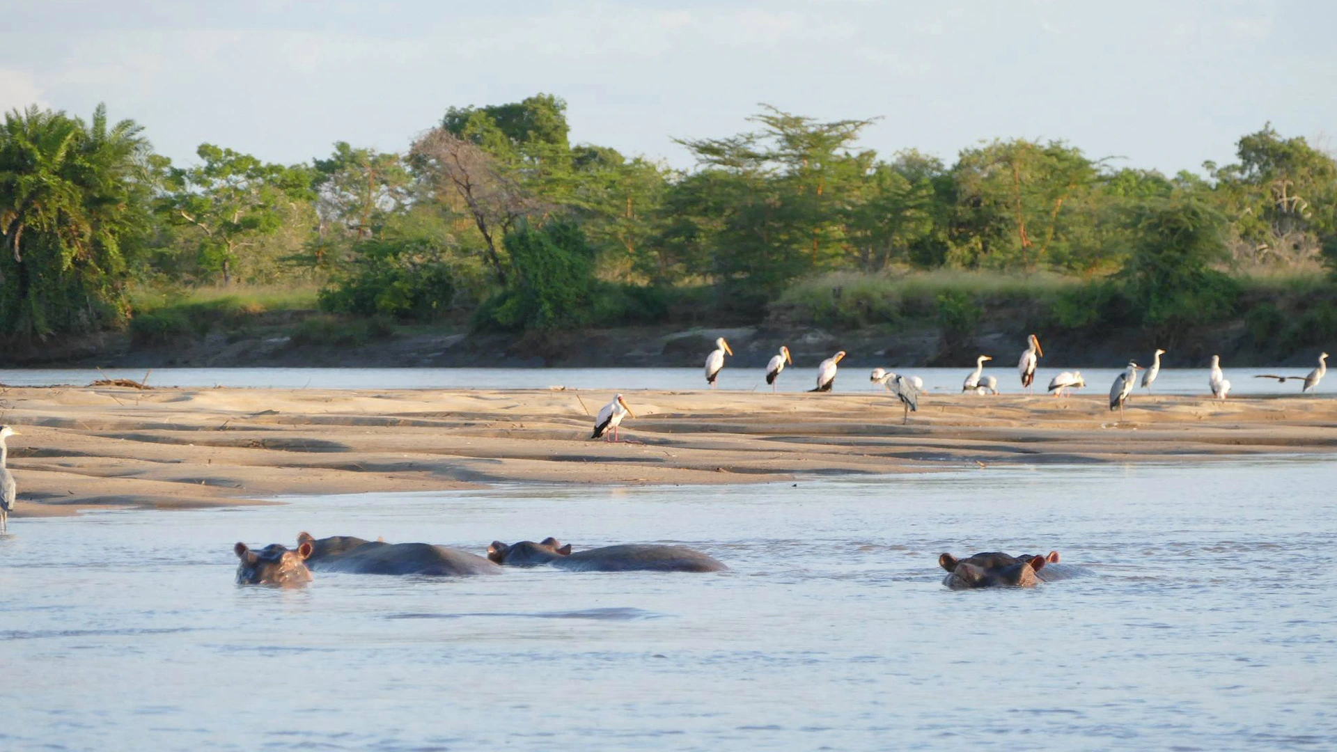 Saadani National Park