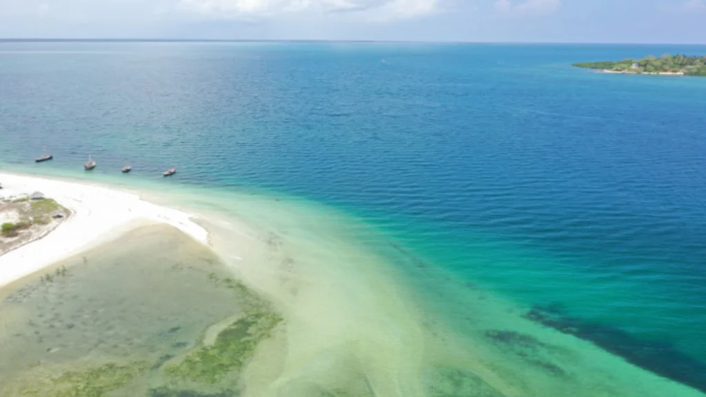 Mafia island, Tanzania